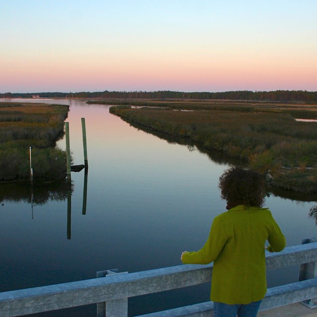 Person overlooking a canal in a marsh landscape