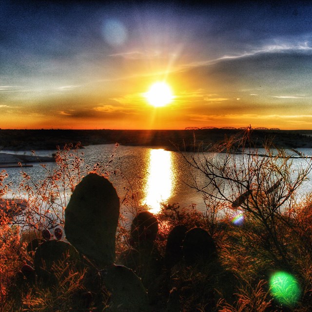 Desert plants and water at sunset