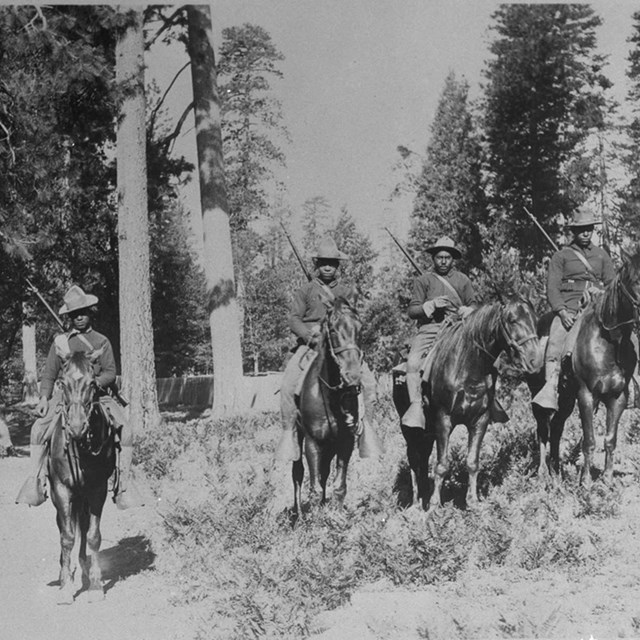 Historic photo of Buffalo soldiers on horseback in a forest