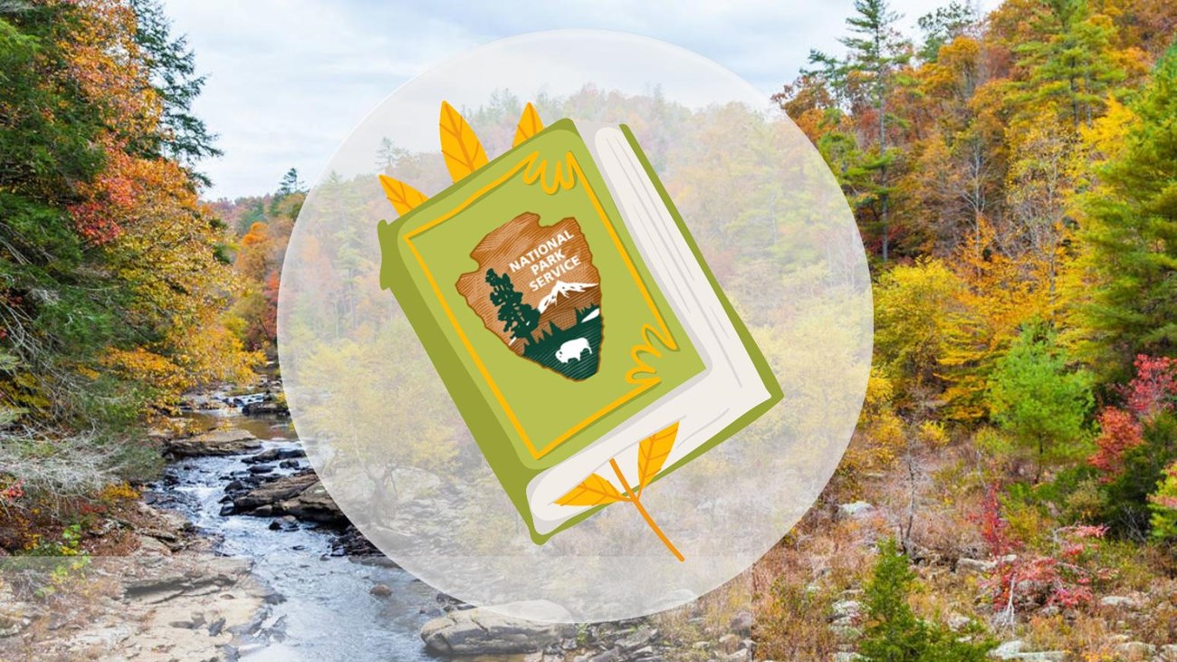 A book with the NPS arrowhead on the cover and a leaf in-between the pages. 