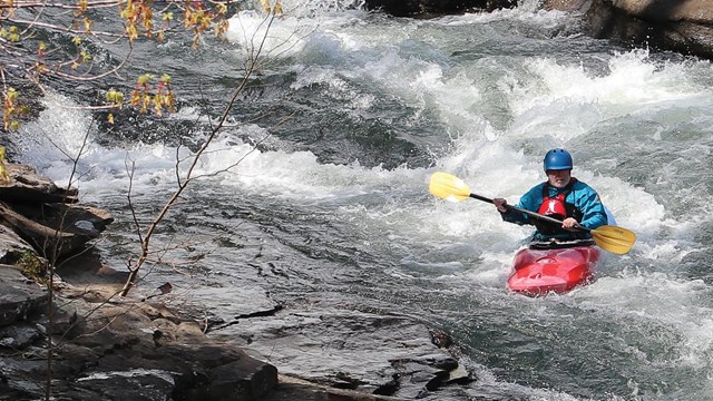 A paddler in the water