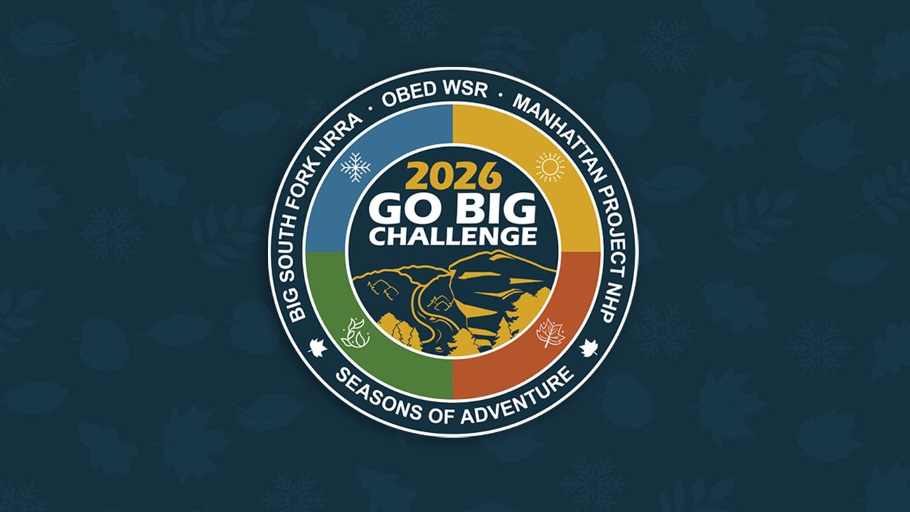 Image of the challenge circular graphic with a blue background.