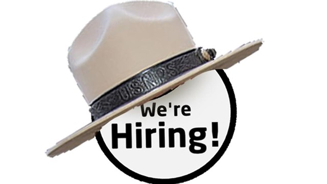 We are hiring