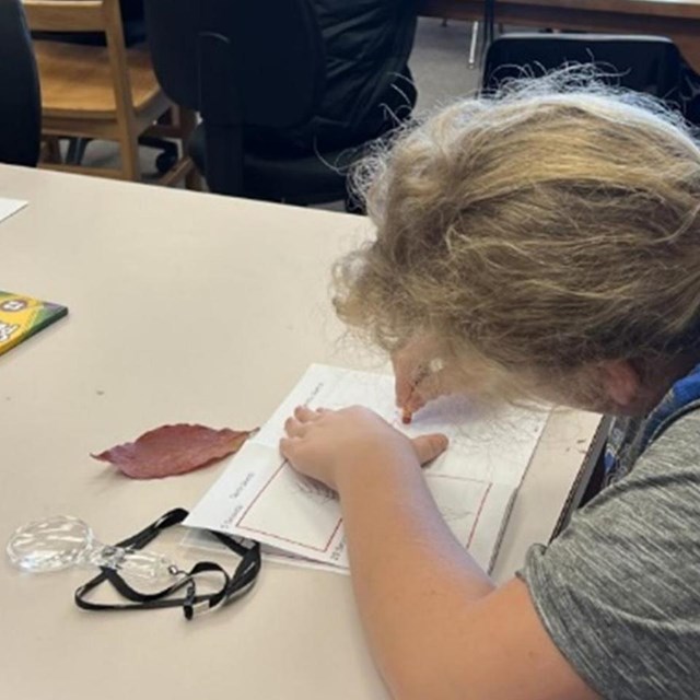 Student sketching a leaf in their workbook. 