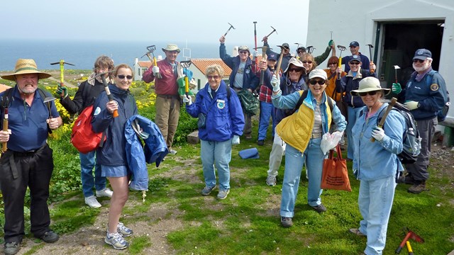 group of volunteers cheering on a grassy field outside