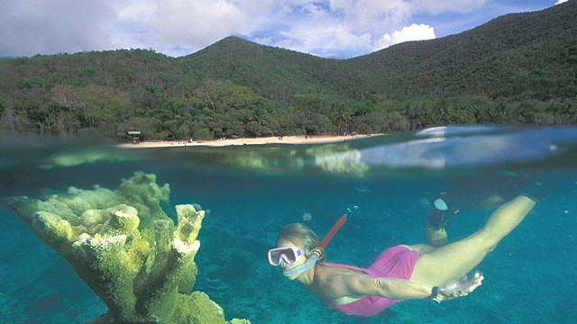 Scuba diver under water. 