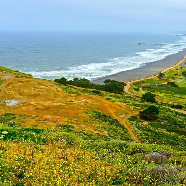 View of coastline at Golden Gate Park.