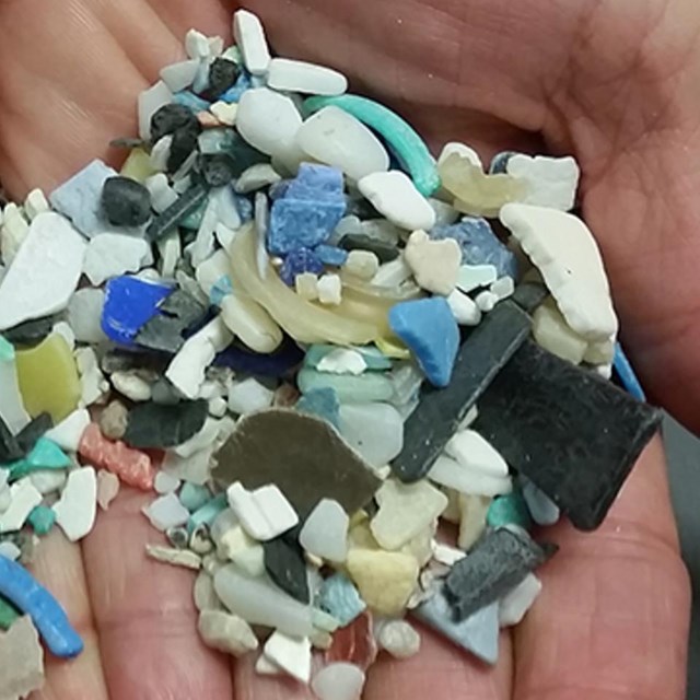 Pieces of micro plastics held in palm of hands. 
