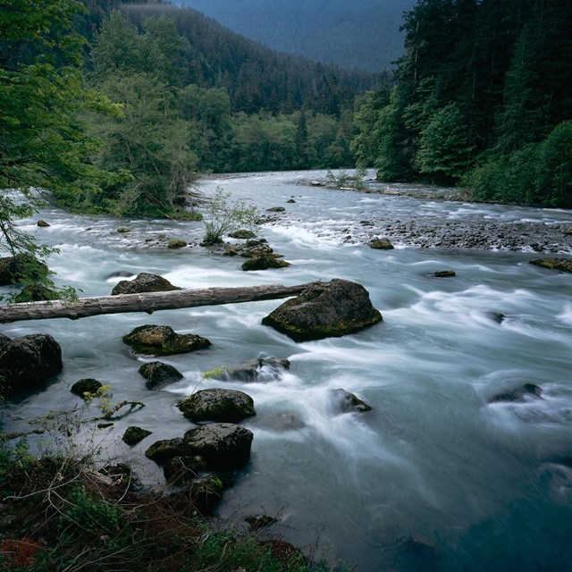 rushing river with forest in background
