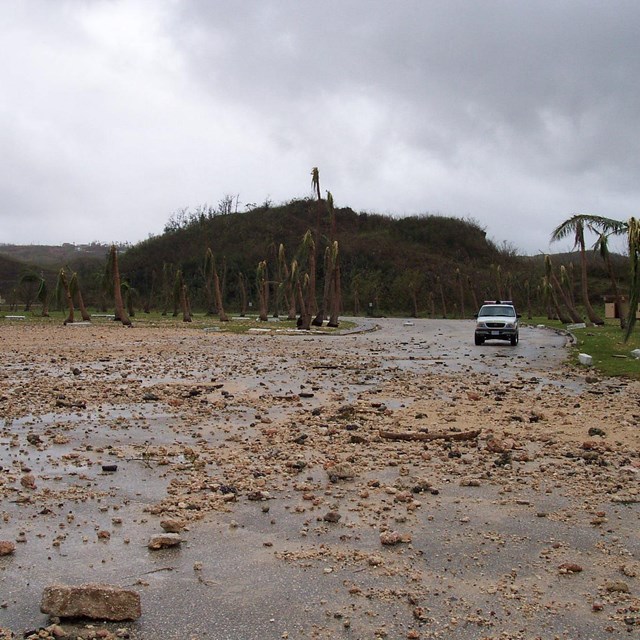 truck driving over flooded area with broken trees and cloudy skies