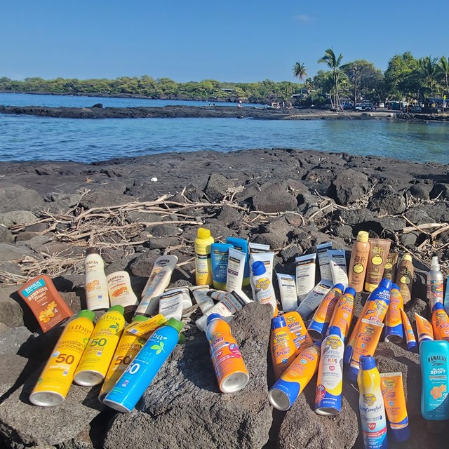 sunscreen bottles on a rock wall in front of the ocean