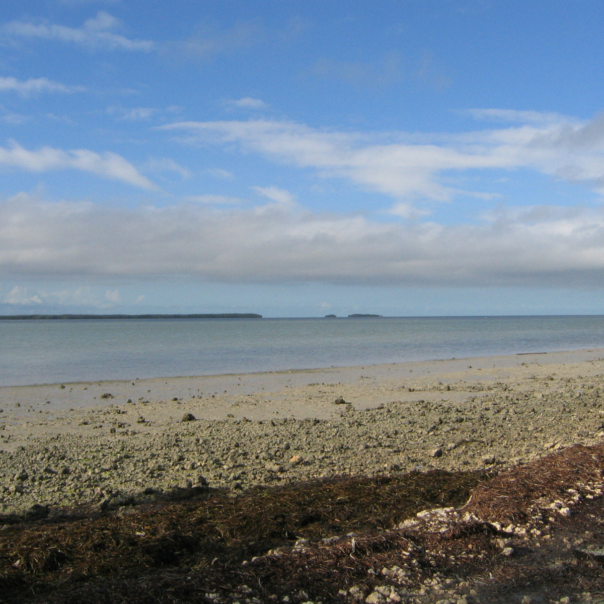 Mudflats graphic
