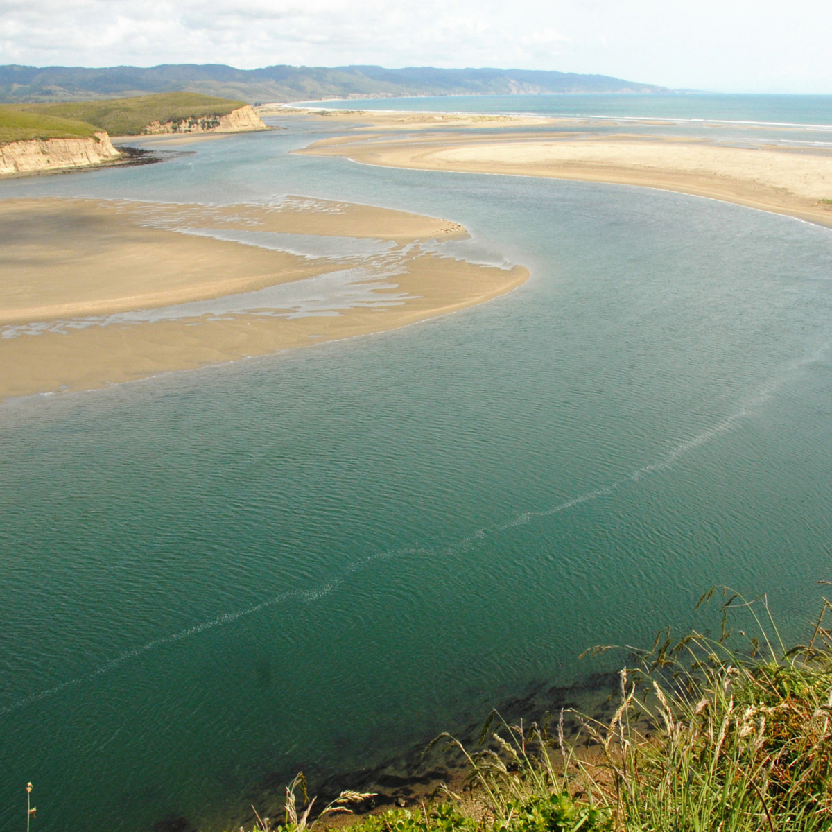 Estuaries Graphic