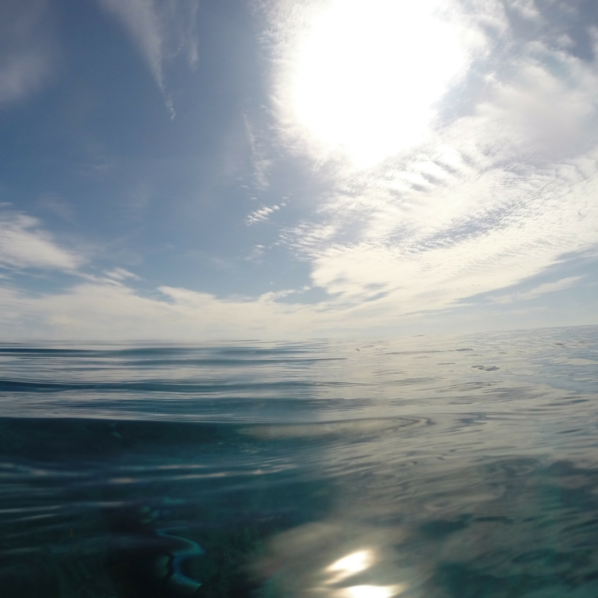 Open ocean graphic
