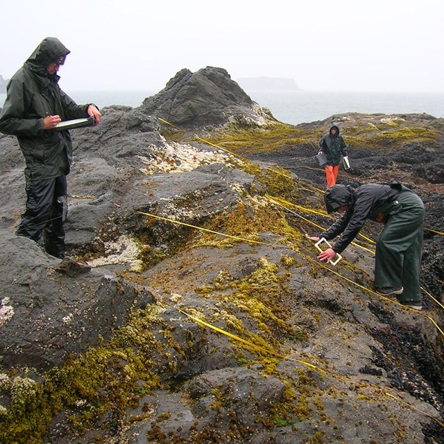Rangers measure the coast.