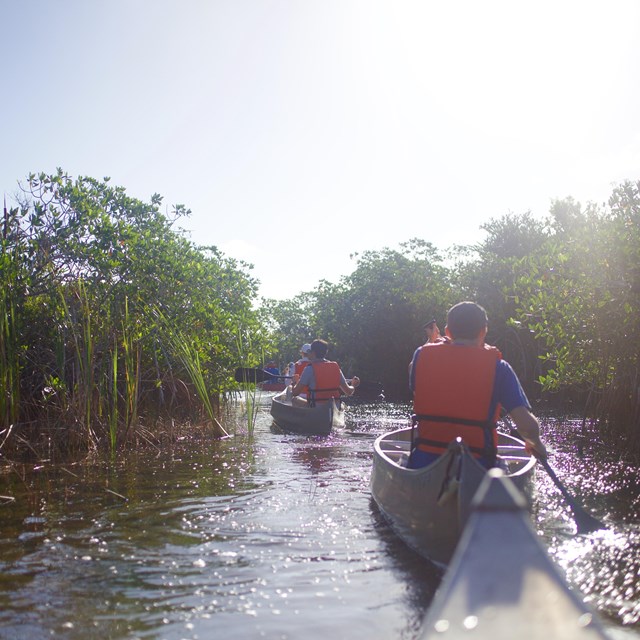 Paddling at Everglades National Park