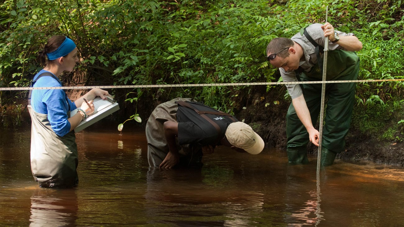 people standing in water conducting research