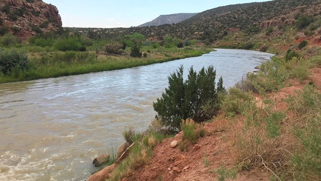 From the banks of a river running through a red-walled desert canyon.