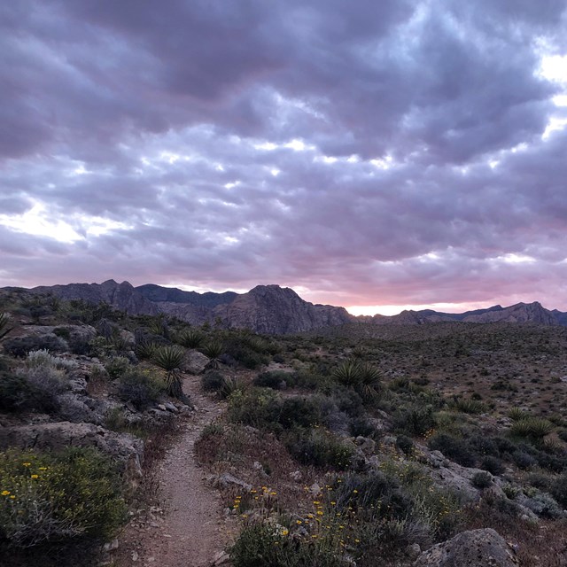 A trail leads through a desert scrubland, under a purple and pink sunset sky.