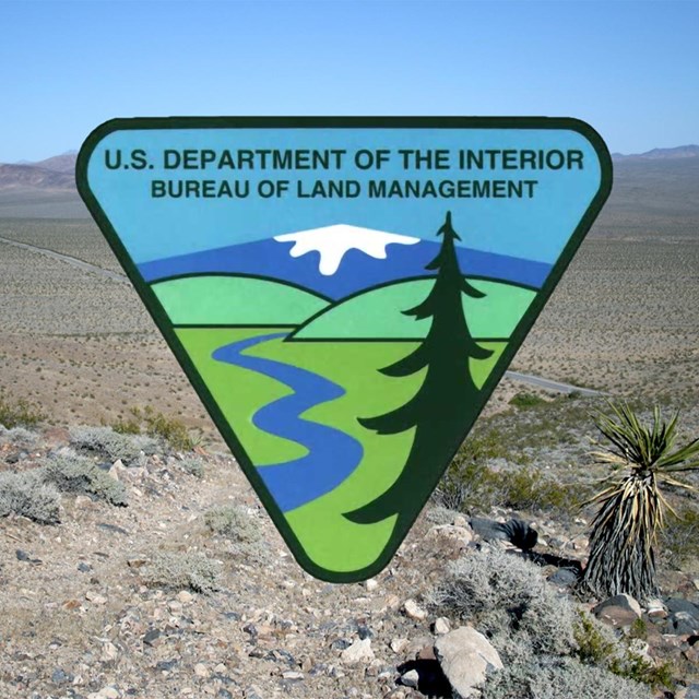 A desert setting with a picture of the upside down triangle BLM logo