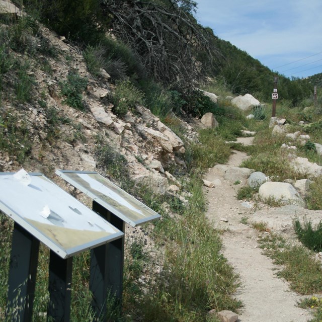A trail winds up a mountainside, with signs at the beginning.