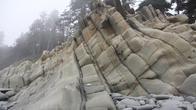 Columns of gray rocks extend upward on a cliff face.
