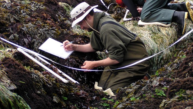 Two researchers use equipment to measure tide pools.