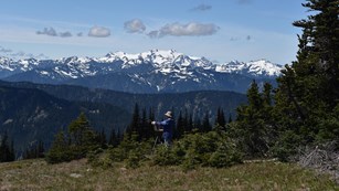 Painting near Obstruction Point