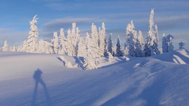 Snow blankets mountains and trees in Olympic National Park.