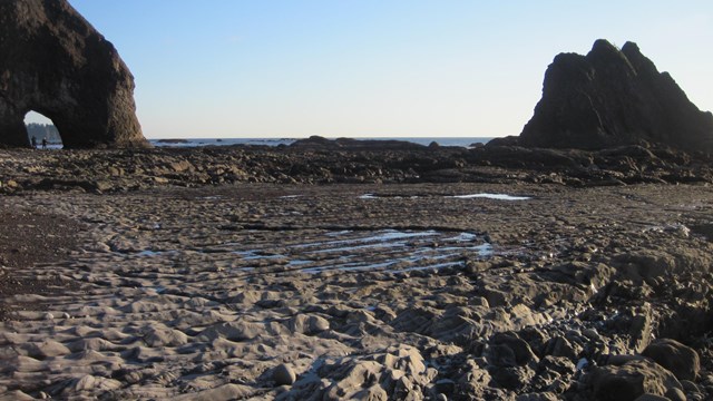 Rugged rocks and islands near Hole in the Wall at Rialto Beach.