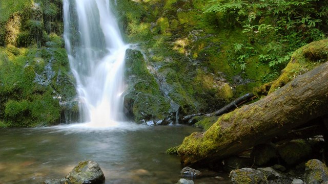 Madison Falls ends in a pool surrounded by mossy rocks.