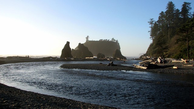 Ruby beach on a sunny day.