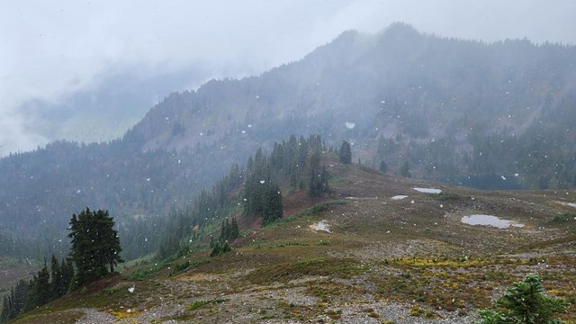 Snow in the Sol Duc