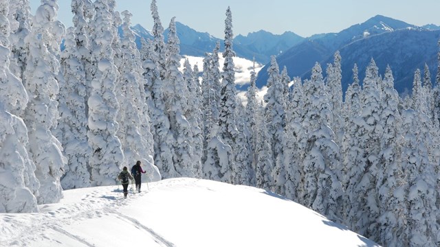 Two hikers travel through a snowy, mountainous landscape.