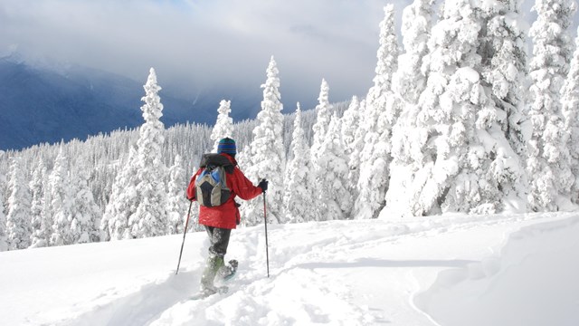A person snowshoes across a wintry, snow-covered landscape.