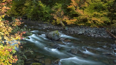 Sol Duc River
