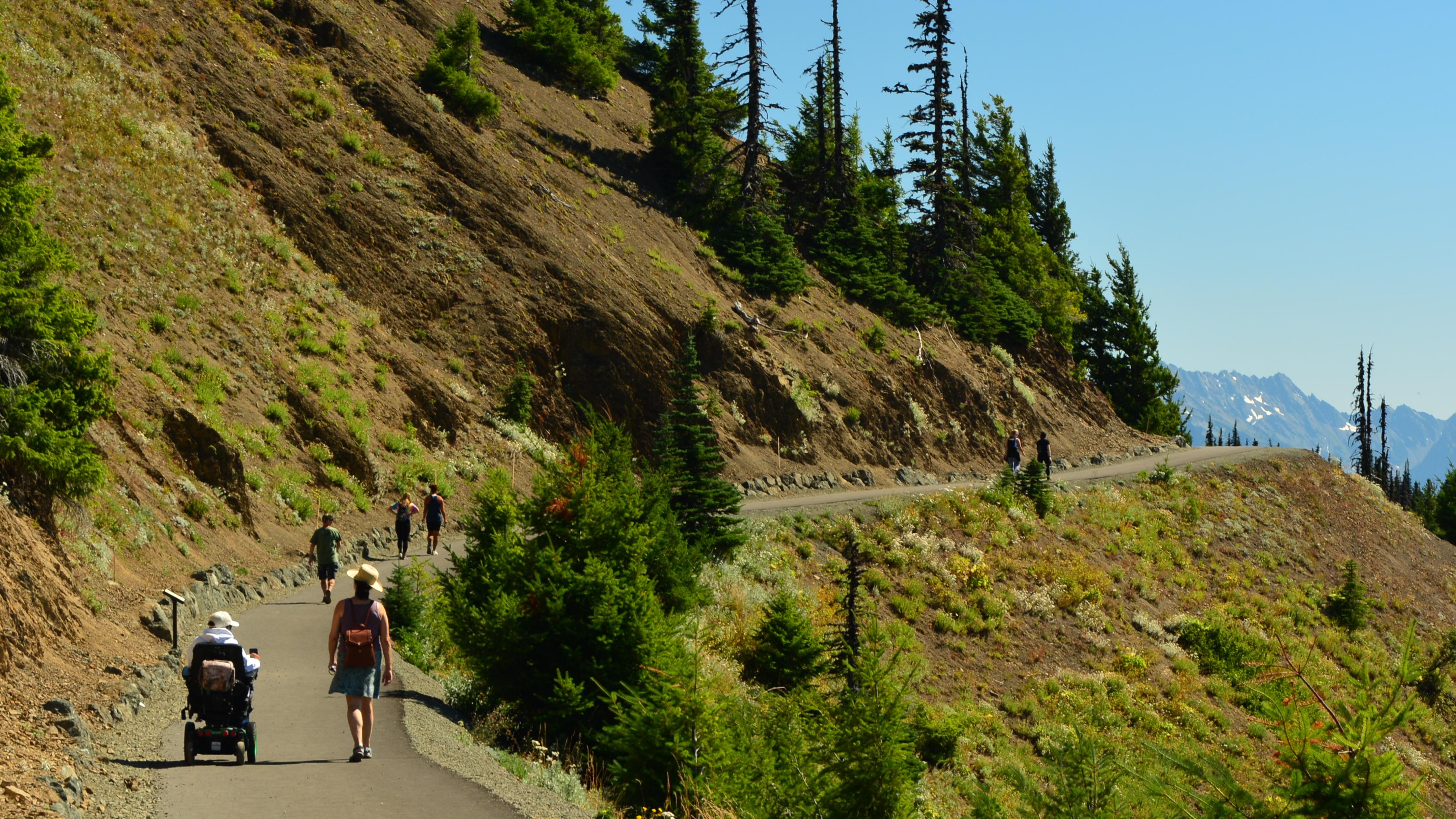 A man in a wheelchair and woman walking on a paved trail on a hillside.