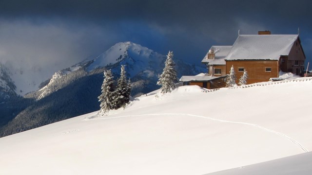 Hurricane Ridge in winter, with large slopes covered in white snow.