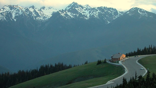 The Hurricane Ridge Day Lodge sits along a paved road with the Olympic Mountains in the background.