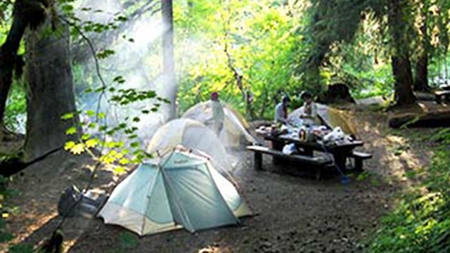 Camp site with tents and picnic table