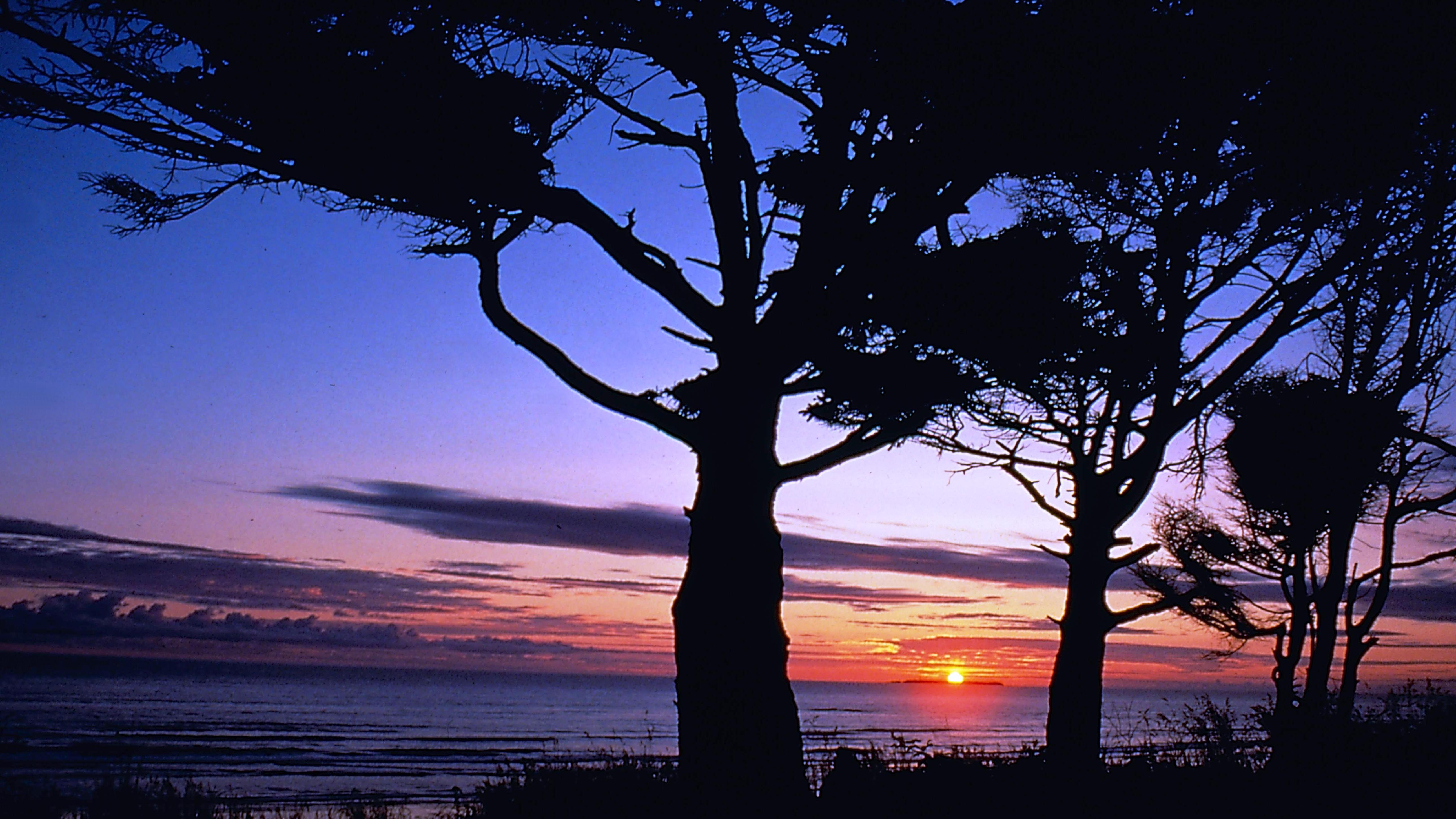 Sunset over Destruction Point at Kalaloch Beach