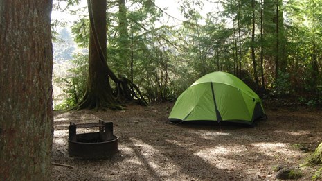 A green tent is set up in a clearing surrounded by trees.