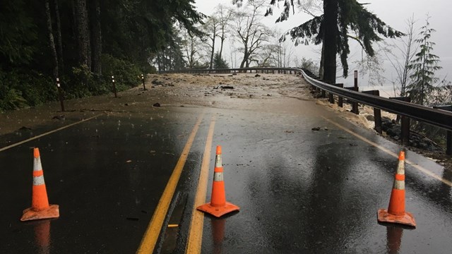 A road covered by debris is blocked off by orange traffic cones. 