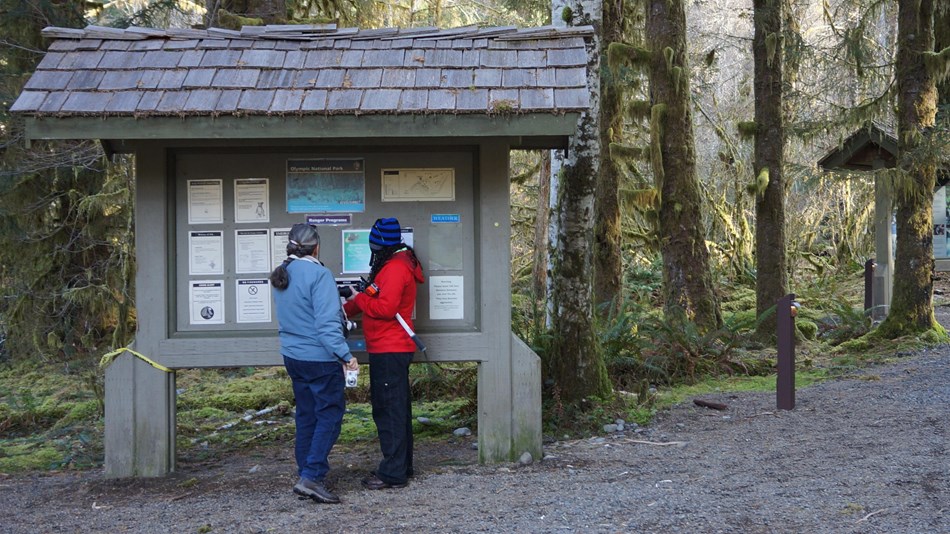 Visitors looking at a bulletin board in the Hoh Rain Forest.