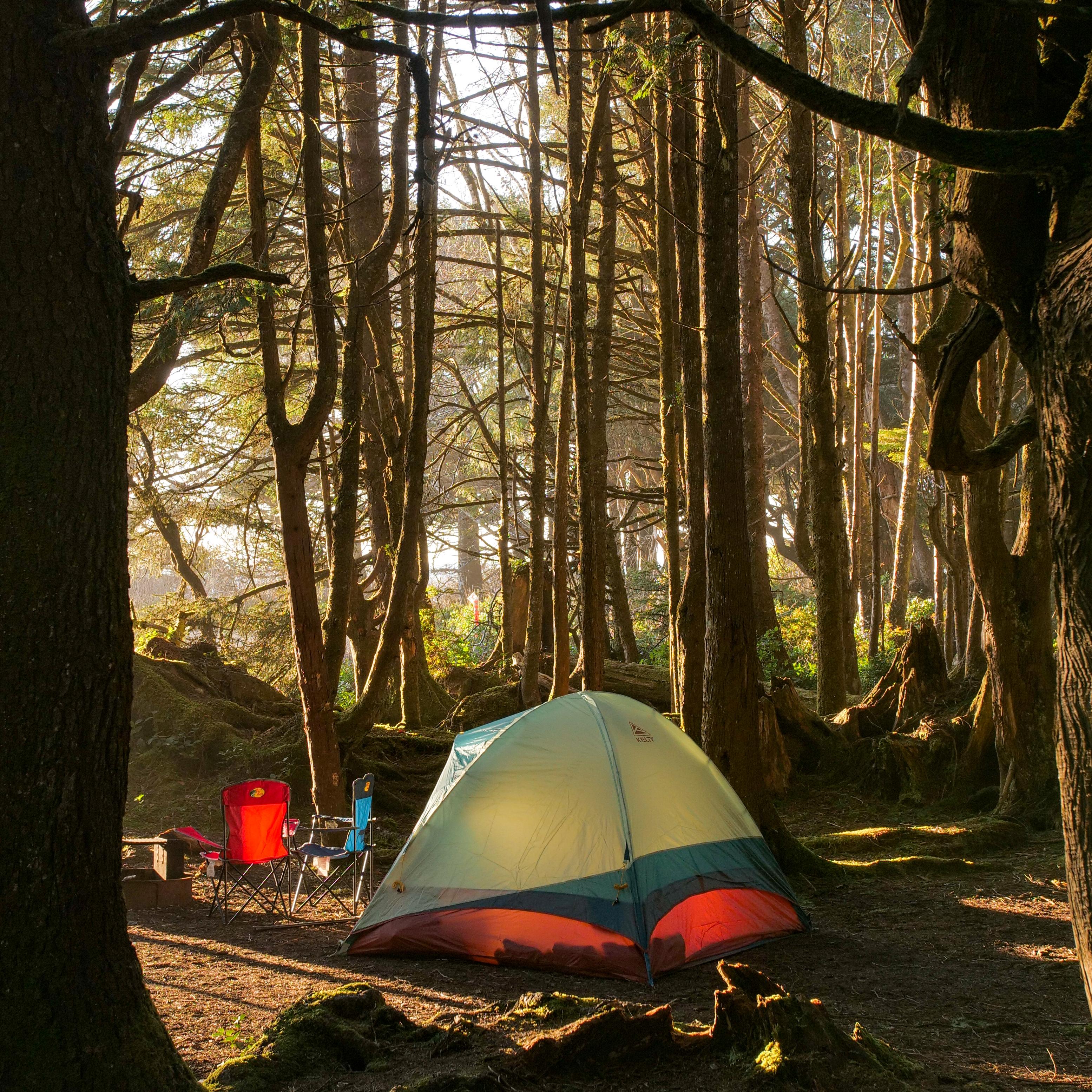 Sunlight slants through the trees to light up a camping tent and a pair of chairs in a clearing.