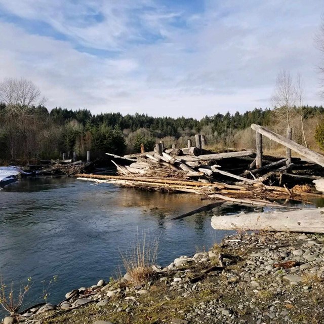 A constructed log jam on a river in winter.