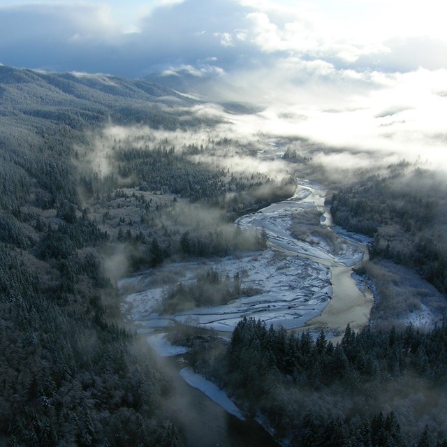 A misty, forested river valley in winter.