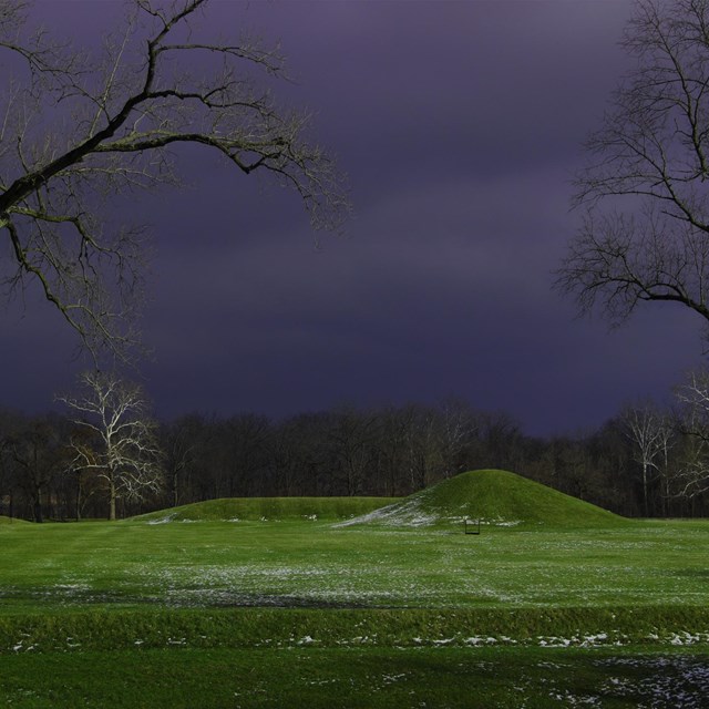 A stormy purple sky looms over tall, bare trees, and mounds of shaped earth beneath the grass.