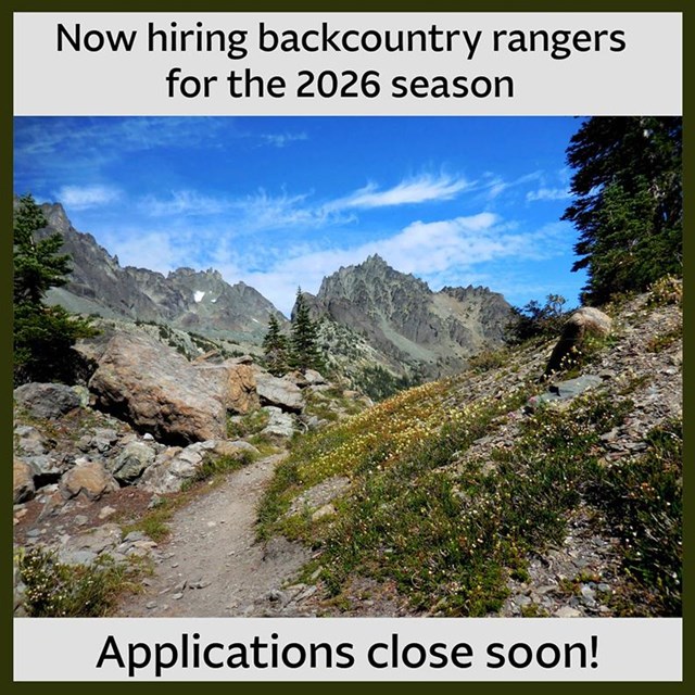 A mountain path winds past wildflowers and boulders toward rugged peaks and ridges.