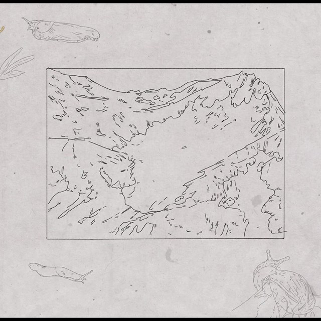 A drawing of a glacial basin on a mountainside, with slugs and a flower outside the frame.